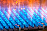 Nackington gas fired boilers